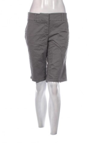 Damen Shorts Loft By Ann Taylor, Größe L, Farbe Grau, Preis € 12,28