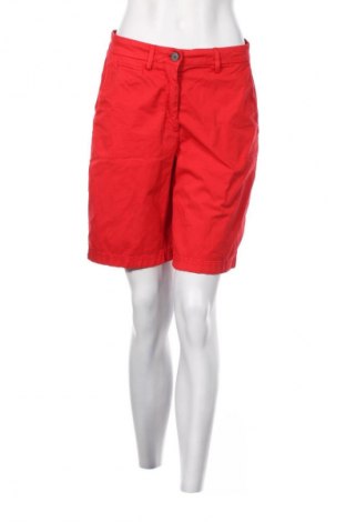 Damen Shorts Tommy Hilfiger, Größe M, Farbe Rot, Preis 33,99 €