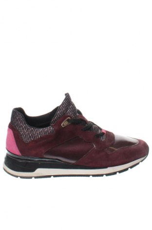 Damenschuhe Geox, Größe 39, Farbe Rot, Preis € 31,99