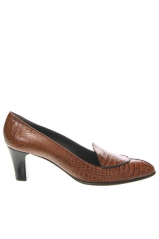 Damenschuhe Pollini, Größe 41, Farbe Braun, Preis 30,09 €