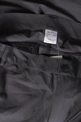 Damenhose, Größe XL, Farbe Grau, Preis 15,49 €