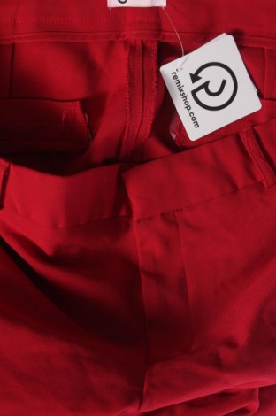 Damenhose Cubus, Größe M, Farbe Rot, Preis 8,49 €