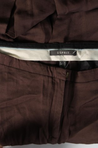 Damenhose Esprit, Größe M, Farbe Braun, Preis € 10,49