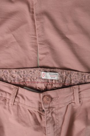 Damenhose Esprit, Größe XXS, Farbe Aschrosa, Preis € 8,99