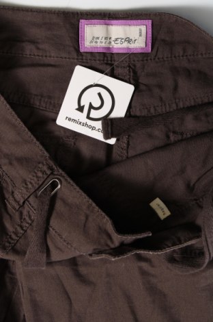 Damenhose Esprit, Größe M, Farbe Braun, Preis € 28,99