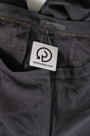 Damenhose Esprit, Größe XL, Farbe Grau, Preis € 10,49