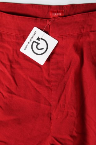 Damenhose Esprit, Größe L, Farbe Rot, Preis 13,49 €