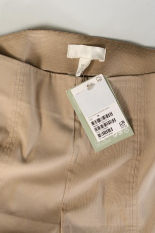 Damenhose H&M, Größe XS, Farbe Braun, Preis € 23,53