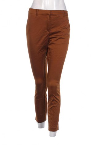 Damenhose H&M, Größe M, Farbe Braun, Preis € 20,49