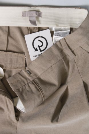 Damenhose H&M, Größe XS, Farbe Beige, Preis 27,70 €