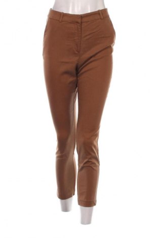 Damenhose H&M, Größe S, Farbe Braun, Preis € 15,35