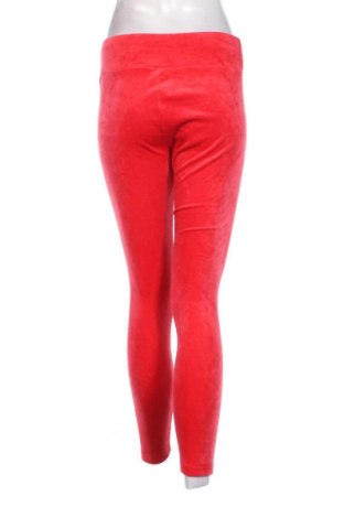 Damenhose No Boundaries, Größe L, Farbe Rot, Preis € 8,99