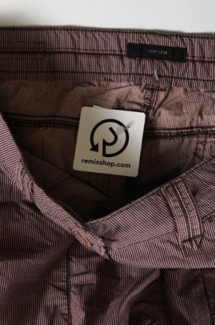 Damenhose Opus, Größe M, Farbe Lila, Preis € 6,99