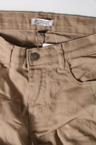 Damenhose True Spirit, Größe S, Farbe Beige, Preis 6,99 €