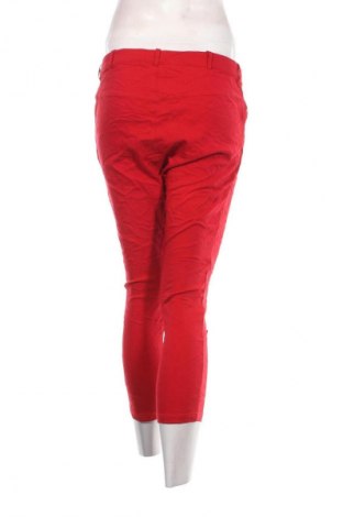 Damenhose Zizzi, Größe L, Farbe Rot, Preis 17,49 €