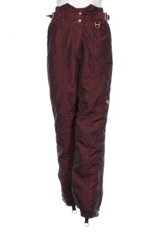 Damenhose für Wintersport Descente, Größe M, Farbe Mehrfarbig, Preis € 49,99