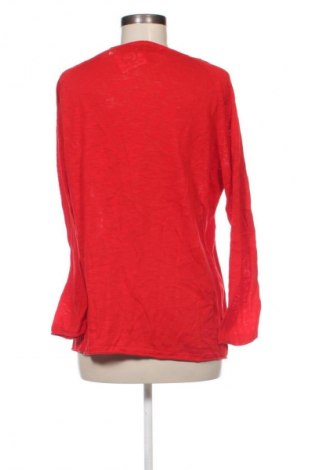 Damenpullover Blue Motion, Größe L, Farbe Rot, Preis 16,49 €