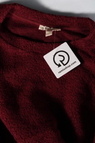 Damenpullover Eileen Fisher, Größe M, Farbe Rot, Preis 43,49 €