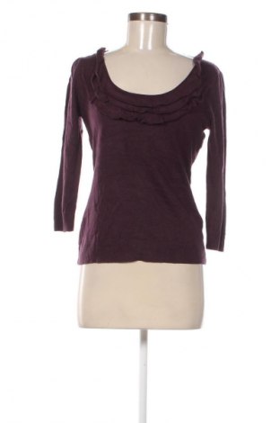 Damenpullover New York & Company, Größe S, Farbe Lila, Preis 28,99 €