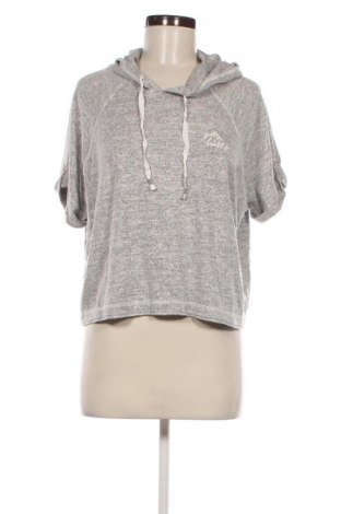 Damen Sweatshirt Gilly Hicks, Größe L, Farbe Grau, Preis € 20,49