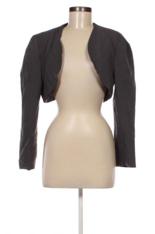 Damen Blazer, Größe L, Farbe Grau, Preis € 15,99