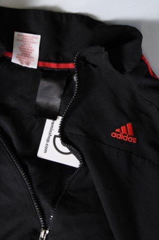 Γυναικείο μπουφάν Adidas, Μέγεθος M, Χρώμα Μαύρο, Τιμή 19,99 €