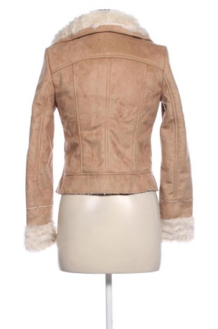 Damenjacke Etam, Größe S, Farbe Beige, Preis 55,99 €