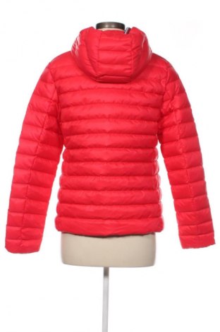 Damenjacke Tommy Hilfiger, Größe L, Farbe Rot, Preis 127,99 €