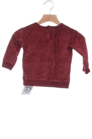 Kinder Shirt, Größe 9-12m/ 74-80 cm, Farbe Rot, Preis € 2,99