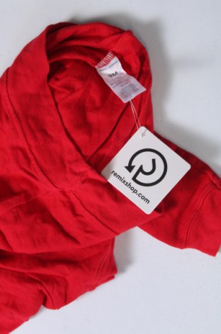 Kinder Shirt Carter's, Größe 6-9m/ 68-74 cm, Farbe Rot, Preis € 2,99