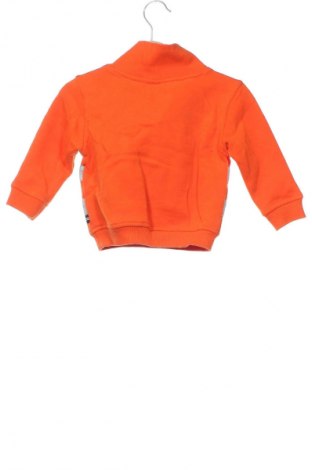 Kinder Shirt Nautica, Größe 9-12m/ 74-80 cm, Farbe Orange, Preis 13,99 €