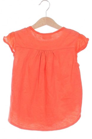 Kinder Shirt Next, Größe 5-6y/ 116-122 cm, Farbe Orange, Preis € 7,99