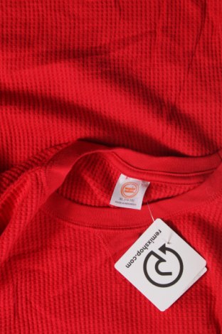 Kinder Shirt Wonder Nation, Größe 15-18y/ 170-176 cm, Farbe Rot, Preis € 4,49