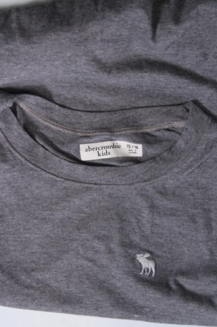 Tricou pentru copii Abercrombie Kids, Mărime 15-18y/ 170-176 cm, Culoare Gri, Preț 77,22 Lei