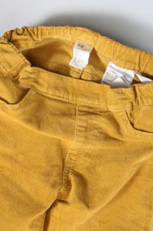 Pantaloni de catifea reiată, pentru copii H&M, Mărime 5-6y/ 116-122 cm, Culoare Galben, Preț 26,99 Lei