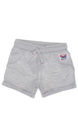 Kinder Shorts, Größe 12-18m/ 80-86 cm, Farbe Grau, Preis € 2,99