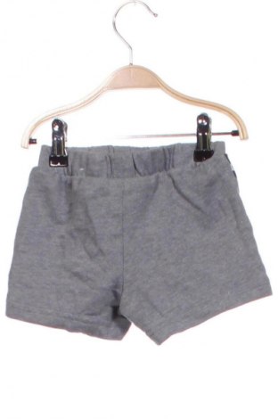 Kinder Shorts, Größe 12-18m/ 80-86 cm, Farbe Grau, Preis € 5,49