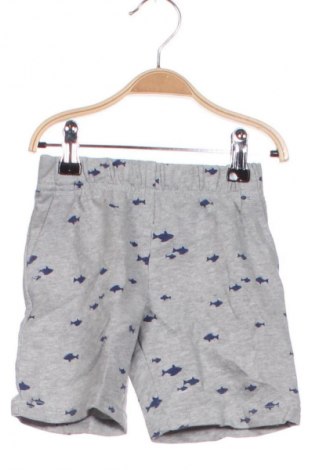 Kinder Shorts Carter's, Größe 2-3y/ 98-104 cm, Farbe Grau, Preis € 5,49