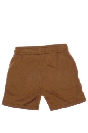 Kinder Shorts H&M, Größe 4-5y/ 110-116 cm, Farbe Beige, Preis 2,99 €