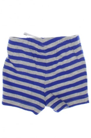 Kinder Shorts Next, Größe 9-12m/ 74-80 cm, Farbe Mehrfarbig, Preis € 4,49