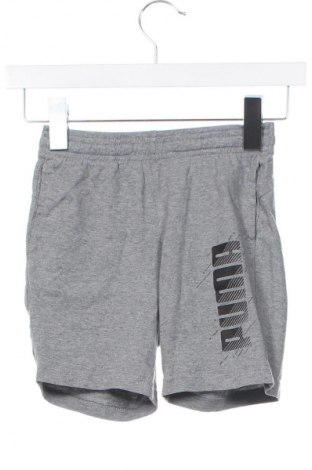 Kinder Shorts PUMA, Größe 5-6y/ 116-122 cm, Farbe Grau, Preis 6,49 €