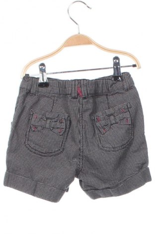 Kinder Shorts Palomino, Größe 4-5y/ 110-116 cm, Farbe Mehrfarbig, Preis € 3,49