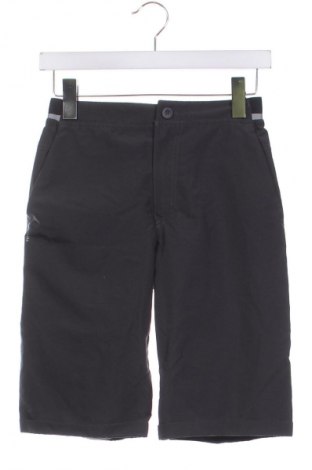 Pantaloni scurți pentru copii Quechua, Mărime 11-12y/ 152-158 cm, Culoare Gri, Preț 21,99 Lei