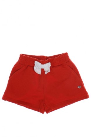 Kinder Shorts Sarabanda, Größe 12-18m/ 80-86 cm, Farbe Rot, Preis 9,99 €