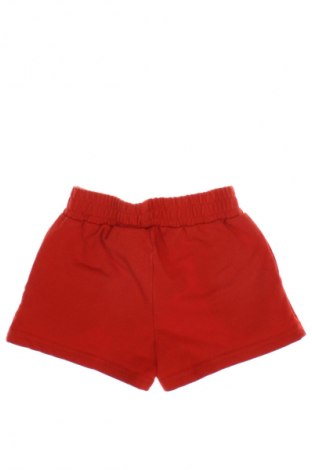 Kinder Shorts Sarabanda, Größe 12-18m/ 80-86 cm, Farbe Rot, Preis € 8,99