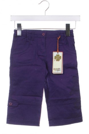 Pantaloni pentru copii, Mărime 4-5y/ 110-116 cm, Culoare Mov, Preț 51,99 Lei