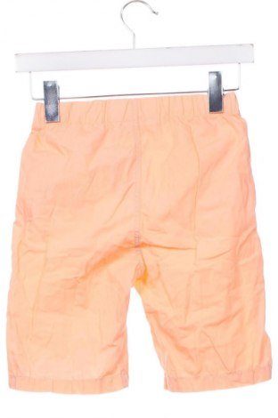 Kinderhose H&M, Größe 8-9y/ 134-140 cm, Farbe Orange, Preis 10,83 €