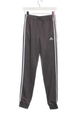 Pantaloni de trening, pentru copii Adidas, Mărime 14-15y/ 168-170 cm, Culoare Gri, Preț 86,99 Lei