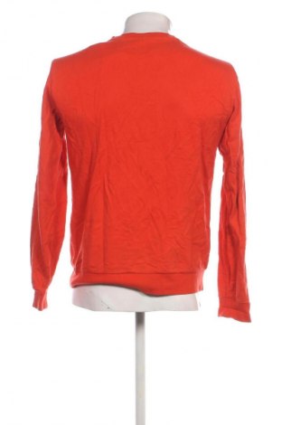 Herren Shirt Emporio Armani, Größe L, Farbe Orange, Preis € 25,99