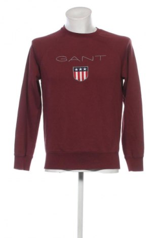 Herren Shirt Gant, Größe M, Farbe Lila, Preis 28,99 €